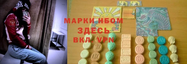 индика Нефтегорск