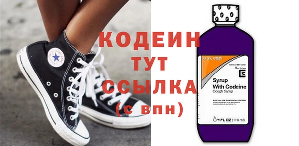 индика Нефтегорск