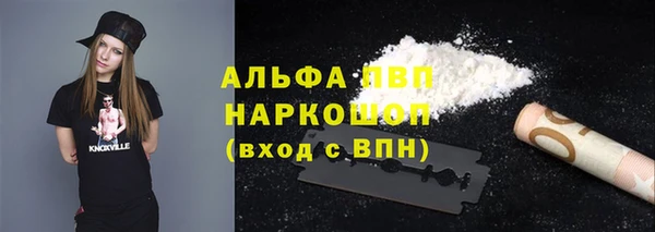 индика Нефтегорск