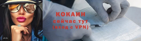 индика Нефтегорск