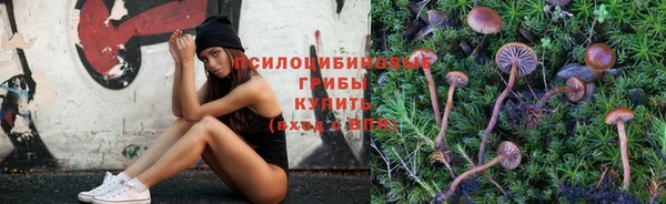 индика Нефтегорск
