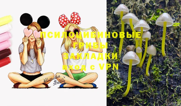 индика Нефтегорск