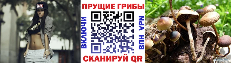 Псилоцибиновые грибы MAGIC MUSHROOMS  Рыльск 